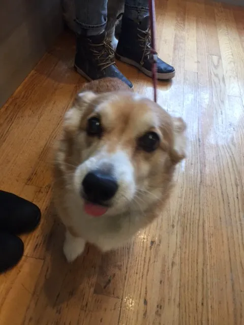 Shaker Square Animal Hospital 2
