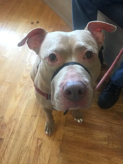 Shaker Square Animal Hospital 1