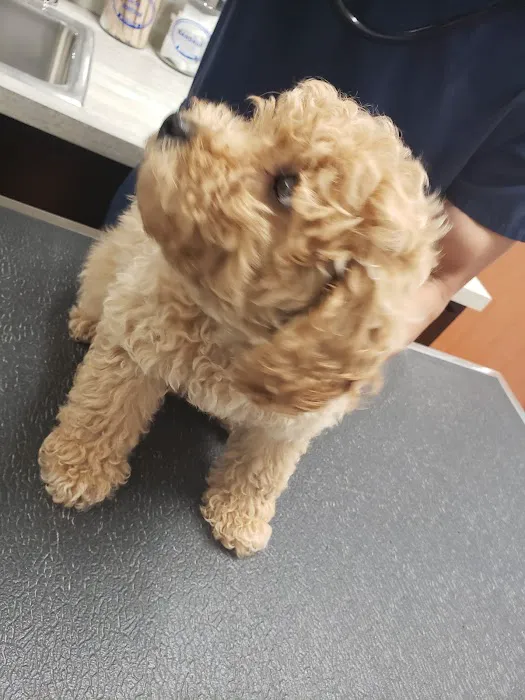 Shaker Square Animal Hospital 10