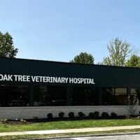 Oak Tree Veterinary Hospital ico