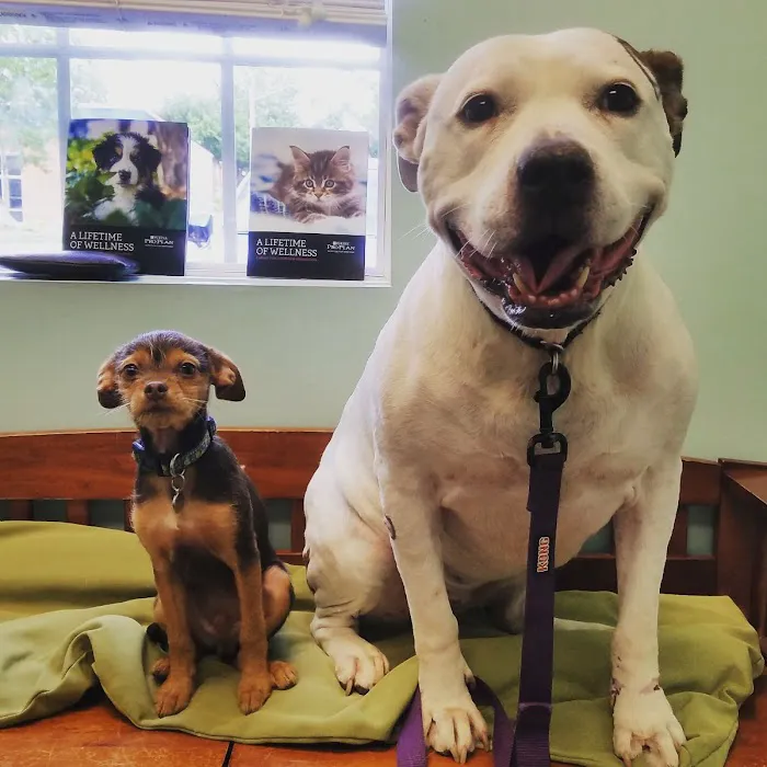 Oak Tree Veterinary Hospital 5