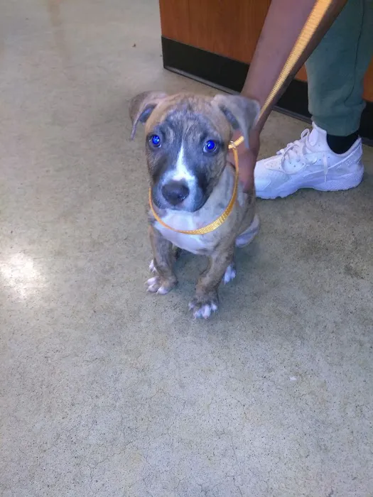 Banfield Pet Hospital 9