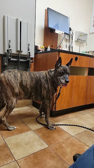 Banfield Pet Hospital 1
