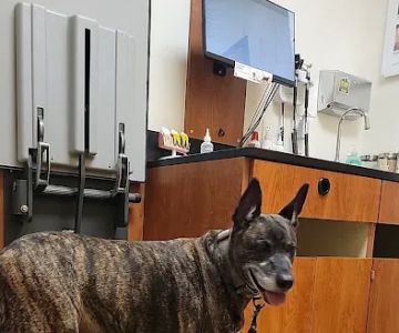 Banfield Pet Hospital