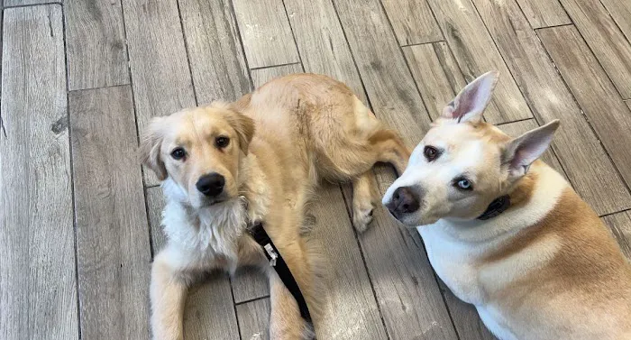 Banfield Pet Hospital 3