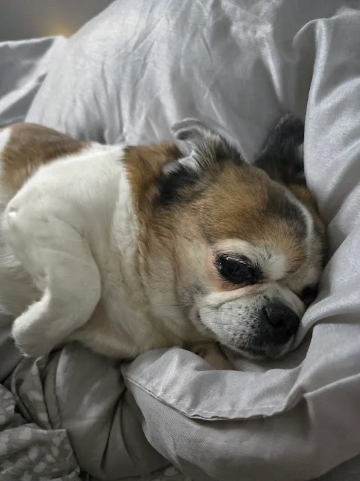 Banfield Pet Hospital 6