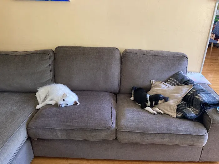 Banfield Pet Hospital 5