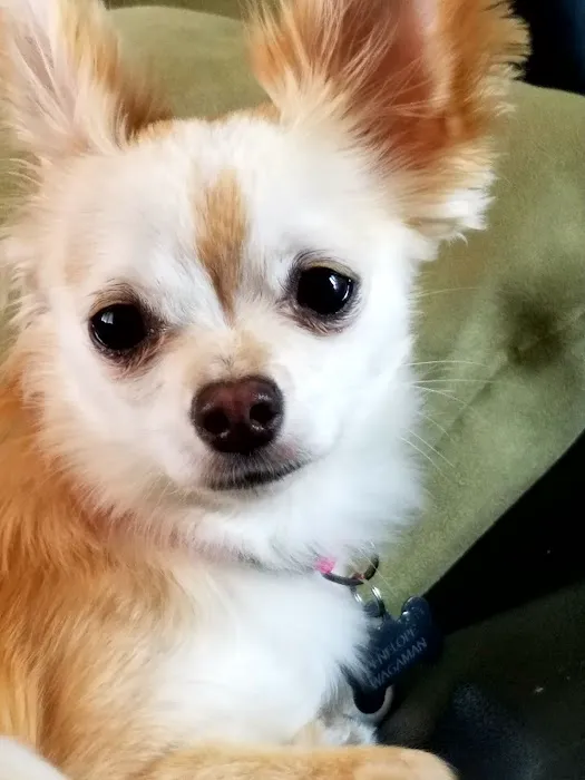 Banfield Pet Hospital 7
