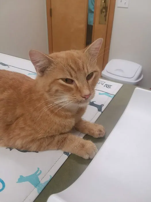Sugar Creek Veterinary Services 4