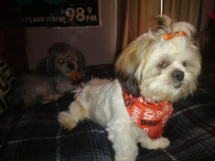 Sugar Creek Veterinary Services 8