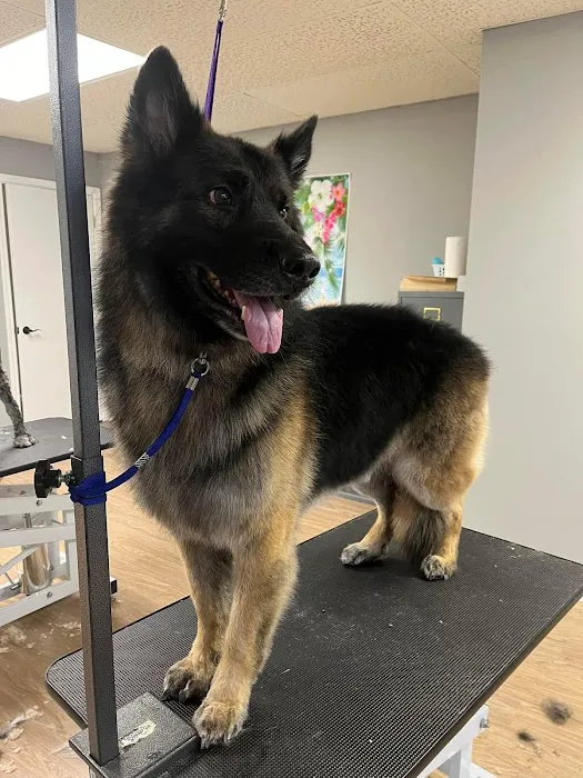 Sugar Creek Veterinary Services 7