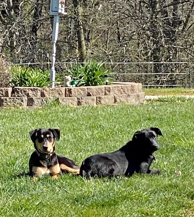 Sugar Creek Veterinary Services 10