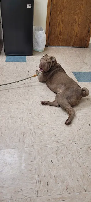 Houston Veterinary Hospital 2