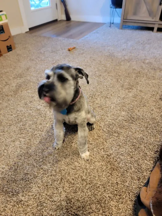 Houston Veterinary Hospital 6