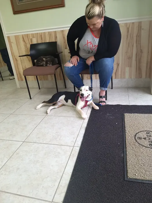 Mountain View Animal Clinic 10