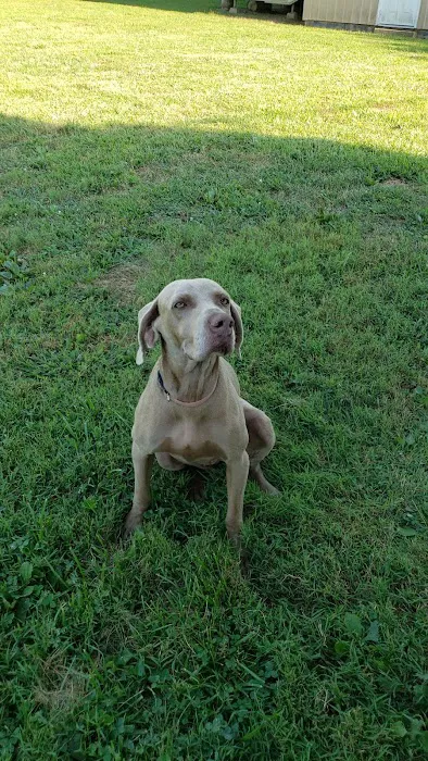 Barn Hollow Veterinary Services 10