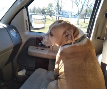 Barn Hollow Veterinary Services