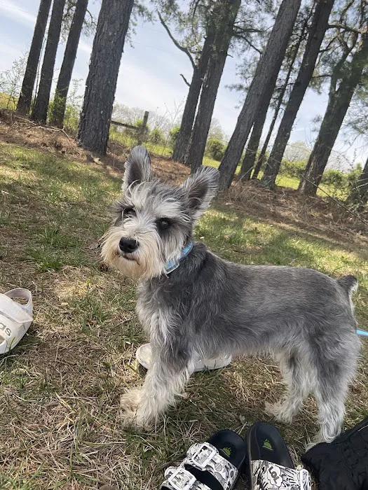 Priority Pet Care of the Ozarks 8