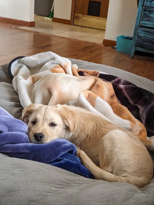 Priority Pet Care of the Ozarks 10