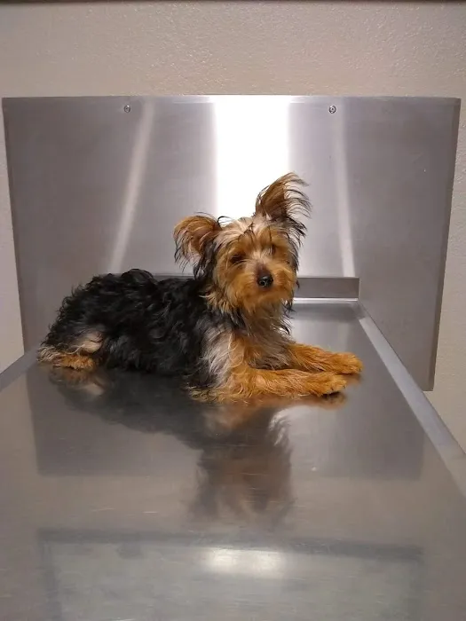 Dake Veterinary Clinic 9