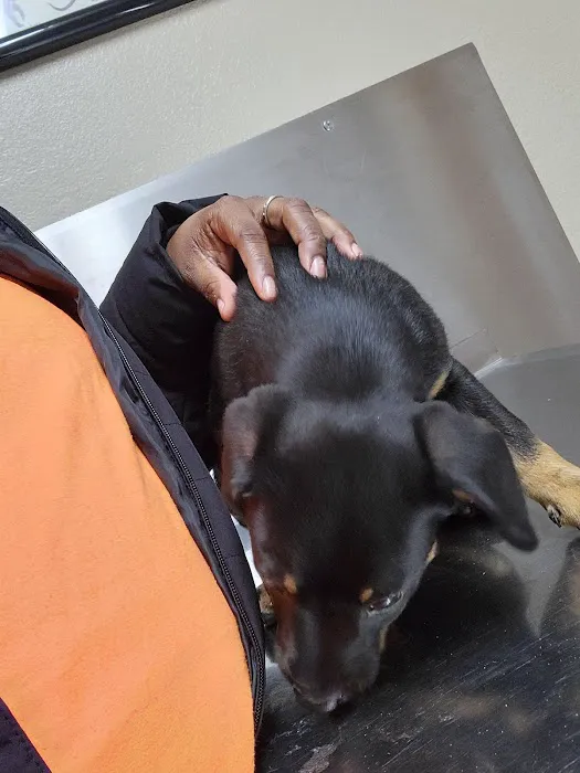 Dake Veterinary Clinic 5