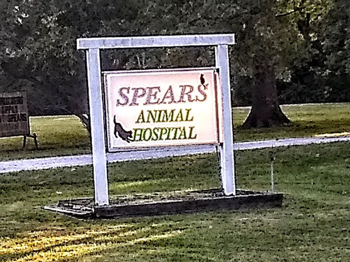 Spears Animal Hospital 7