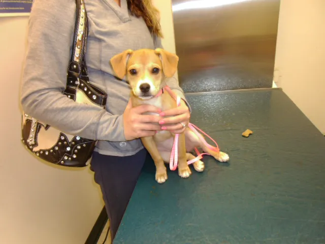 Stone Creek Veterinary Clinic 5