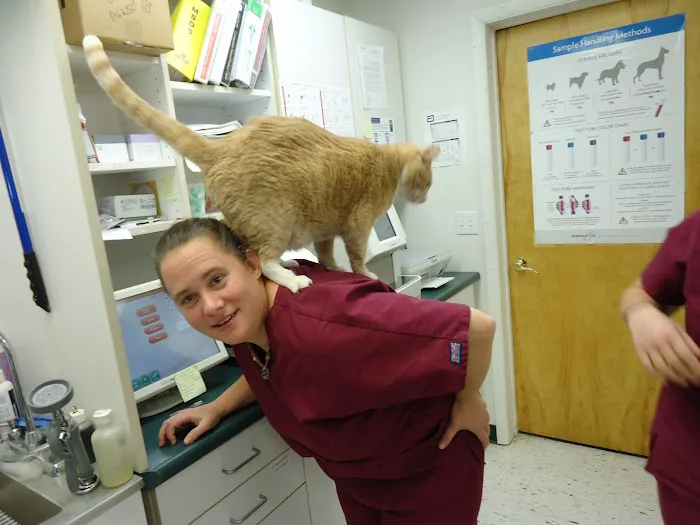 Stone Creek Veterinary Clinic 6