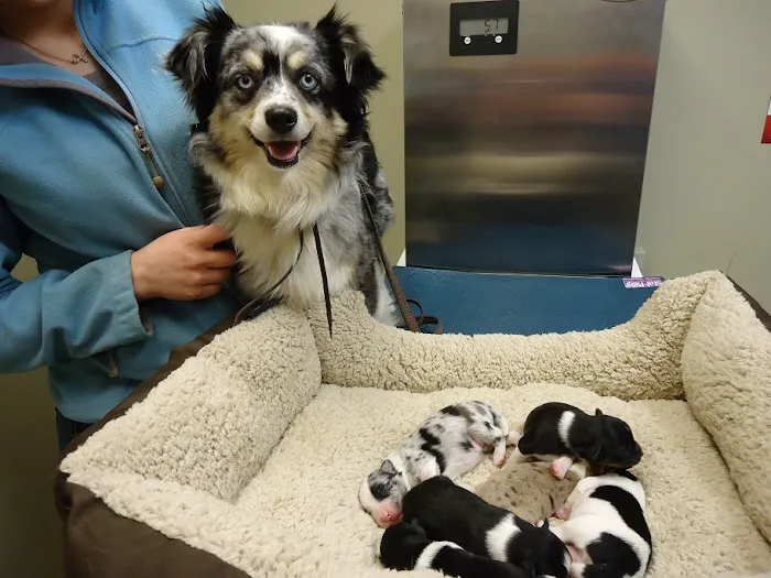 Stone Creek Veterinary Clinic 9