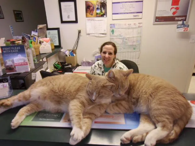 Stone Creek Veterinary Clinic 1