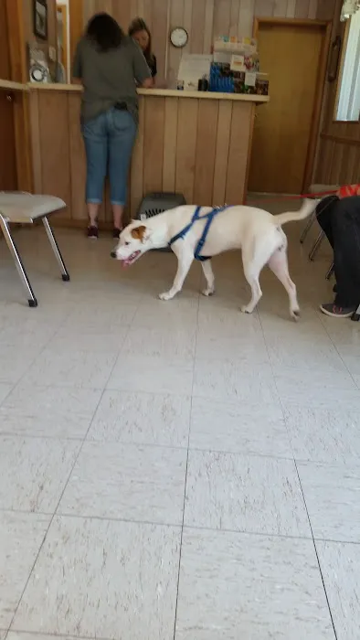 Albion Veterinary Clinic 3