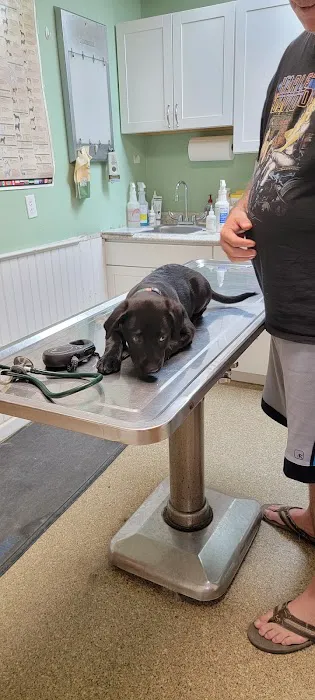 Three Rivers Veterinary Clinic 1