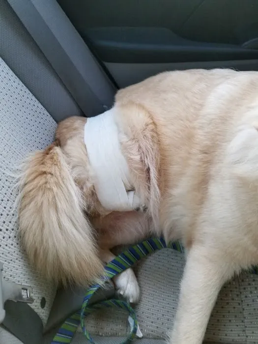 Tri County Animal Clinic 6