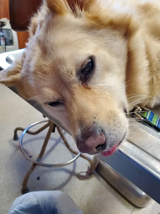 Tri County Animal Clinic 3