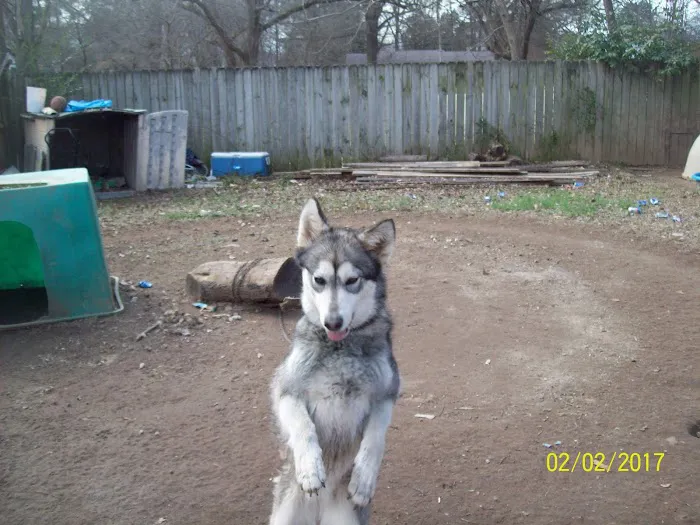 Tri County Animal Clinic 10