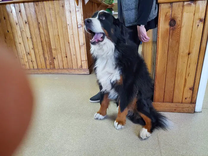 Tri County Animal Clinic 7