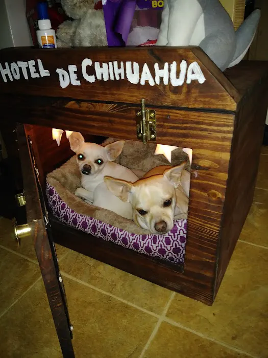 Tri County Animal Clinic 2
