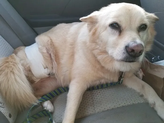 Tri County Animal Clinic 8