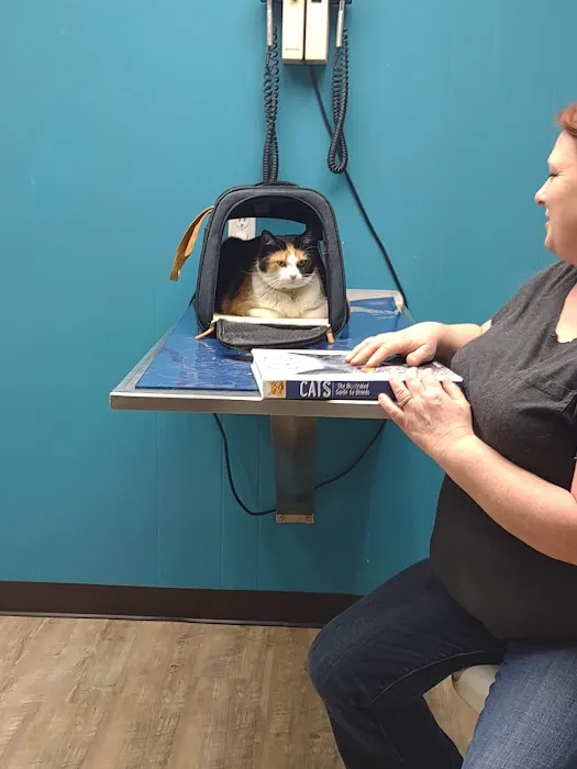Hooks Pet Clinic 4
