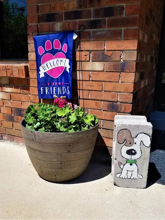 Hooks Pet Clinic 8