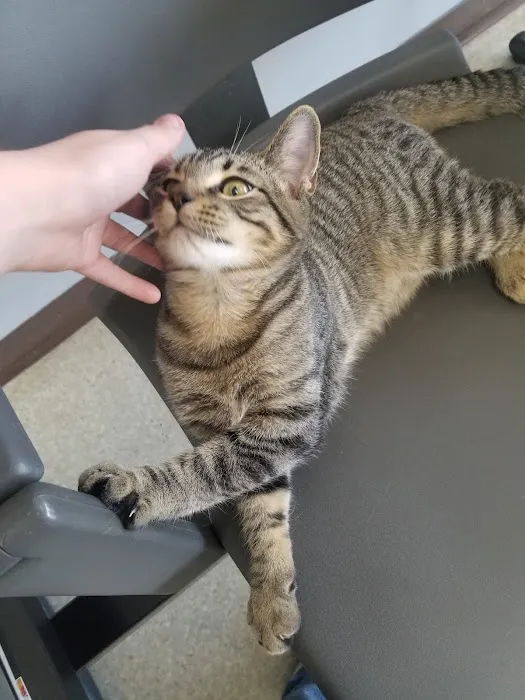 Northwest Tennessee Veterinary Services 3