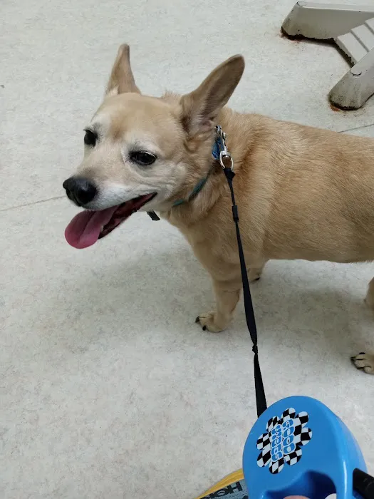 Reelfoot Animal Hospital 6