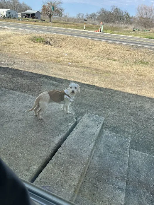 AusTexVet - Mobile Veterinary Services 1