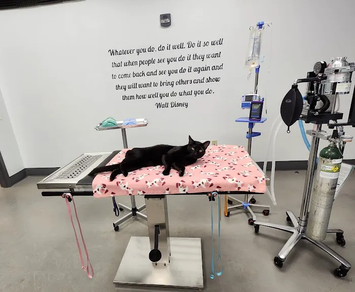 Lonestar Veterinary Services 1