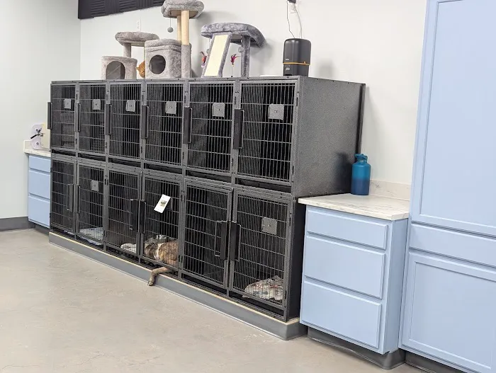 Lonestar Veterinary Services 5