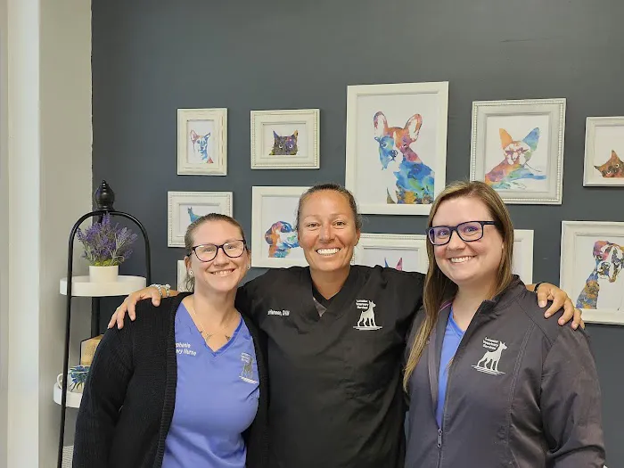 Lonestar Veterinary Services 9