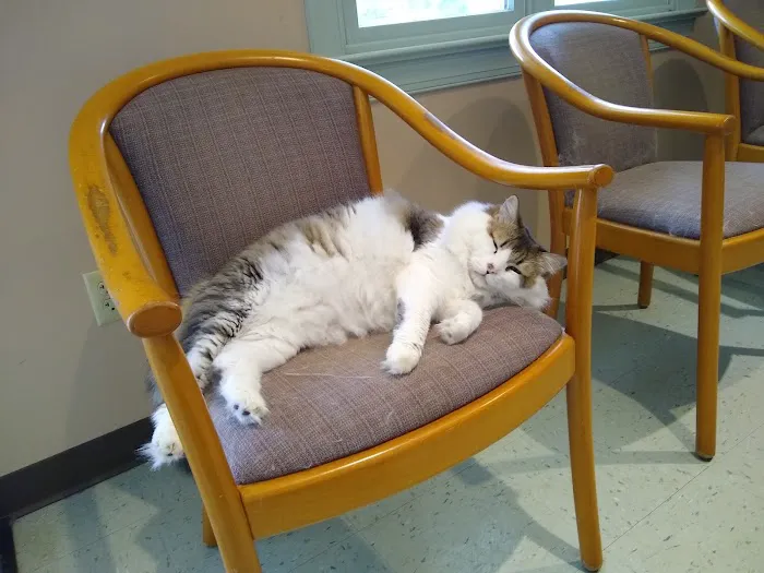 Rockfish Valley Veterinary Clinic 1