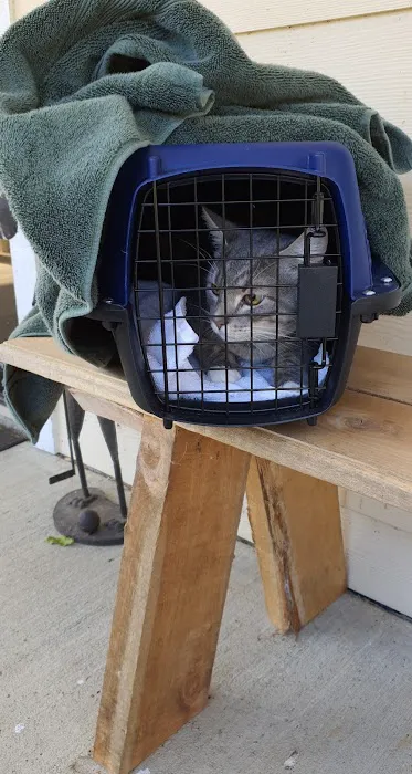 Wintergreen Animal Clinic 1