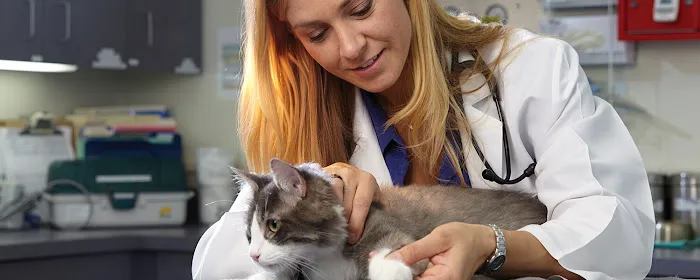 Oregon Veterinary Referral Associates 2