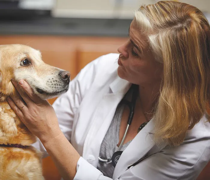 Oregon Veterinary Referral Associates 3